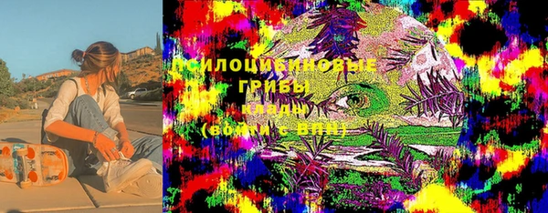 эйфоретик Алексин